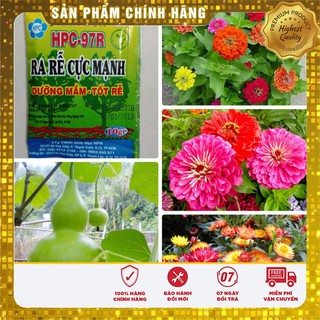 -20k COMBO HẠT GIỐNG LUCKY HOA QUẢ DỄ TRỒNG