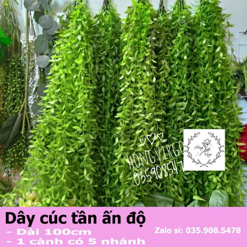 Dây Cúc Tần Ấn Độ Giả Dài 100cm một cụm 5 nhánh Trang Trí Decor Siêu Đẹp