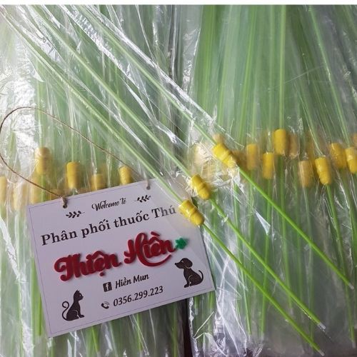 100 Que phối sâu cho heo, bò, chó