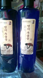 Nhuộm Đen Thảo Dược Linh Chi 500ml x 2