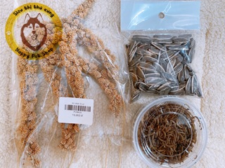 Ăn vặt Hamster