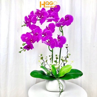 Hoa giả, chậu lan hồ điệp 2 nhánh cao cấp trang trí nhà cửa, bàn làm việc, kệ tivi