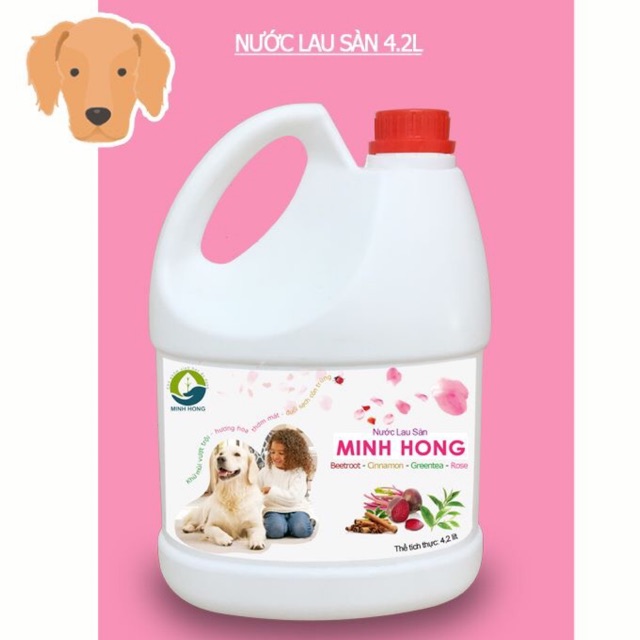 Nước lau sàn