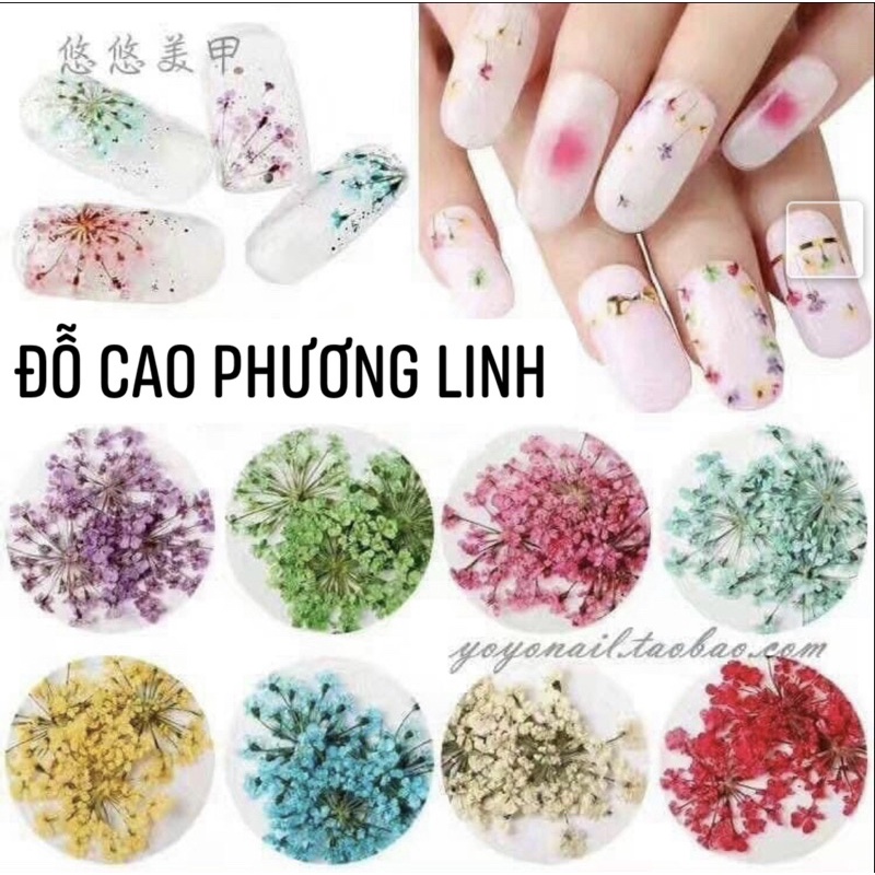 Hoa khô nail trang trí móng cánh nhỏ 12 màu