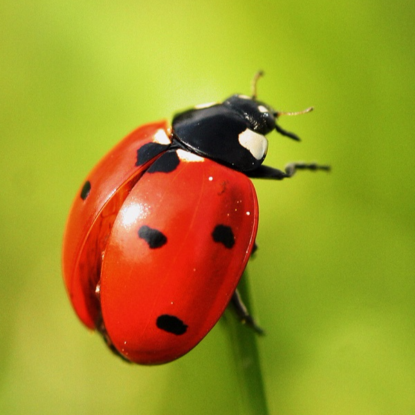 Shop Quà Tặng & Phụ Kiện, Cửa hàng trực tuyến | BigBuy360 - bigbuy360.vn