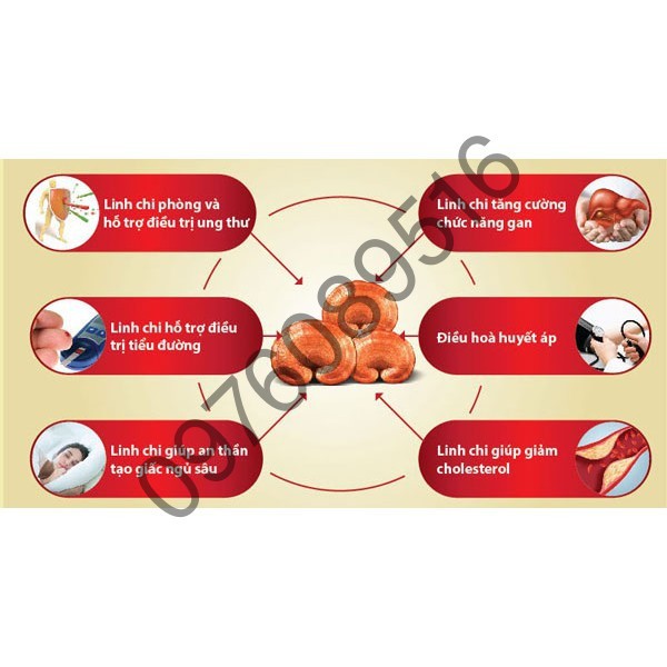 NẤM LINH CHI THÁI LÁT HÀN QUỐC 500G DATE 2025