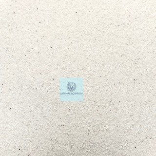 Cát trắng trải nền bể cá, bể thuỷ sinh