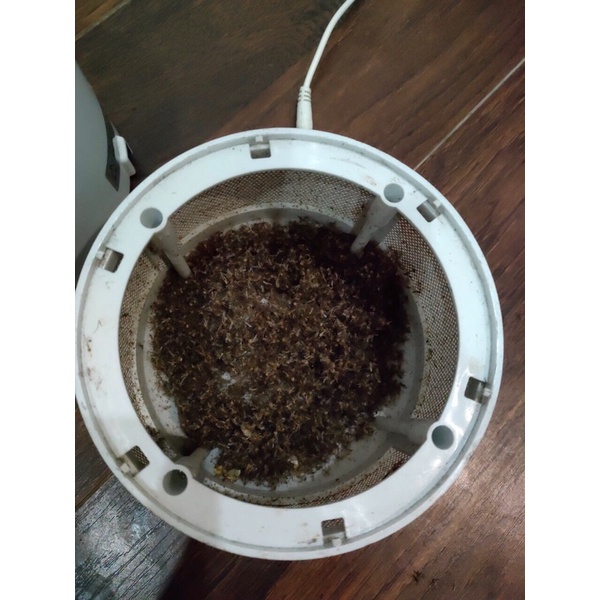 ❌❌ĐÈN BẮT MUỖI THÔNG MINH BẰNG TIA UV LED BUGS-KILLER [nội địa hàn quốc]