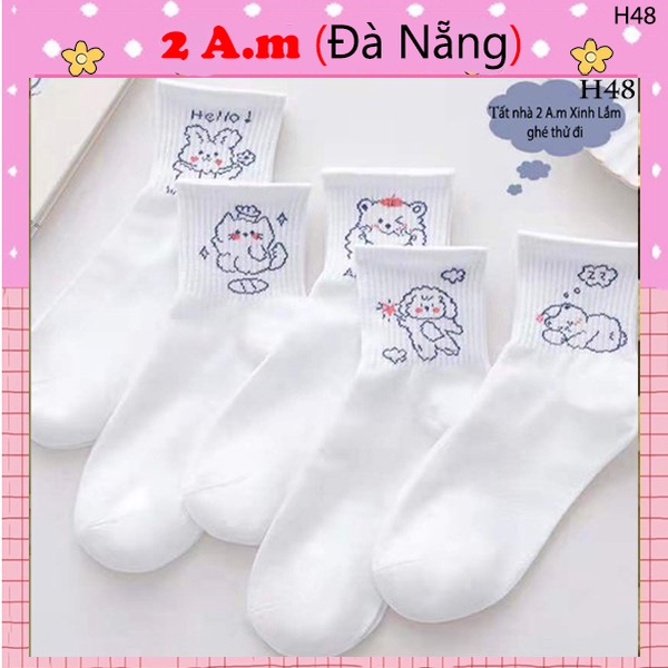Tất Vớ Cổ Ngắn Nữ Họa Tiết Thú Cưng Cực Dễ Thương Vải Cotton Màu Trắng Đẹp Thời Trang