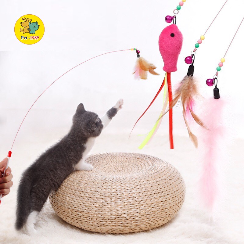 Cần Câu Mèo Dây Thép Đồ chơi cho mèo - Lida Pet Shop