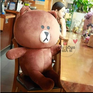 Gấu brown size lớn giá rẻ