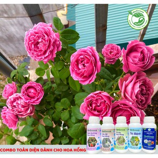 500ml Chế Phẩm Sinh Học Orgreen dành cho Hoa Hồng - Phân bón sinh học hữu cơ dành cho hoa hồng