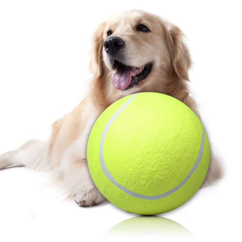 Bóng Tennis Cao Su Bơm Hơi Cỡ Lớn Cho Huấn Luyện Thú Cưng