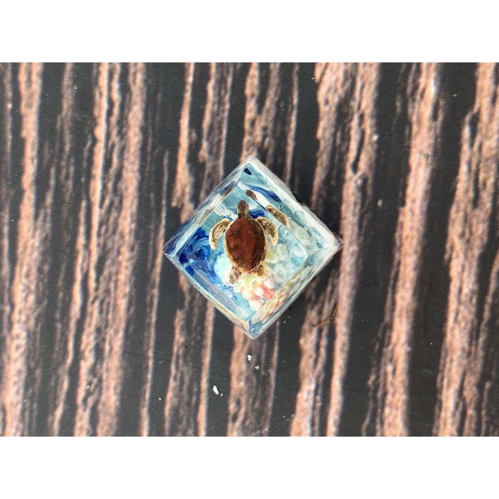 keycap rùa biển