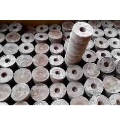 {GIÁ TẬN GỐC} COMBO 50 VIÊN NÉN XƠ DỪA ƯƠM HẠT [HOT]