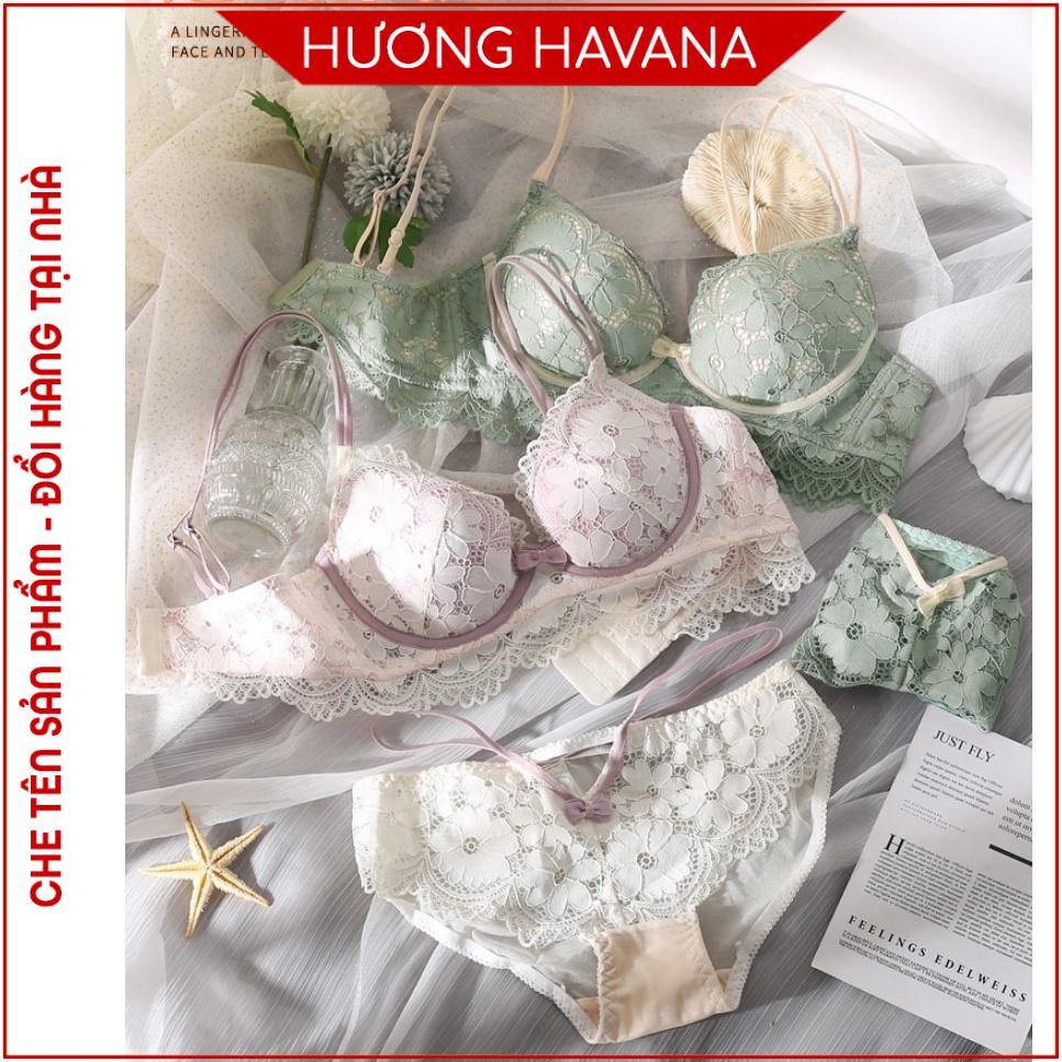 Bộ áo ngực quần lót nữ đệm dày 3cm tiểu thư sang chảnh - Bộ đồ lót nữ cao cấp Havana FLA60
