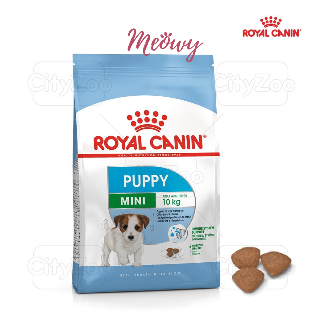Hạt ROYAL CANIN MINI PUPPY cho chó con có cân nặng &lt;10kg từ 2 tháng
