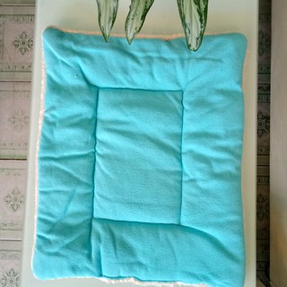 Phụ kiện cho thú cưng - nệm mát cho chó meò