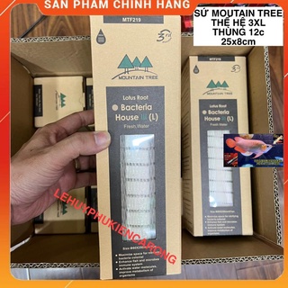 Sứ Củ Sen Thế Hệ 3 Mountain Tree - Size 25cm x 8cm ( 1 Thùng 12 Thanh)