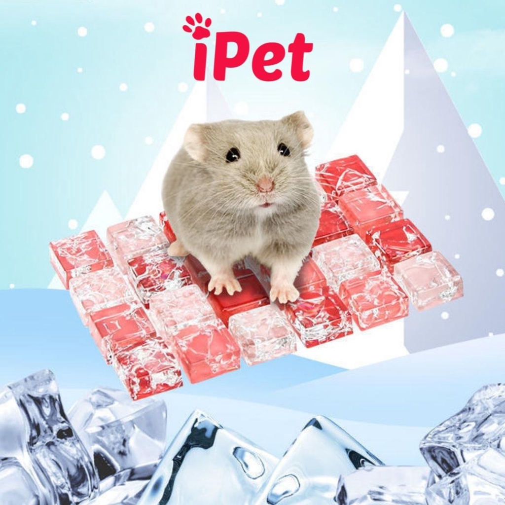 Đá Tản Nhiệt, Thảm Thủy Tinh Làm Mát Mùa Hè Phụ Kiện Cho Hamster - iPet Shop