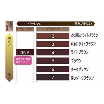 Thuốc Nhuộm Phủ Bạc Tóc Bigen Đủ Màu | BigBuy360 - bigbuy360.vn