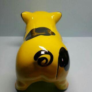 HEO VÀNG NHỎ ĐỐM ĐEN