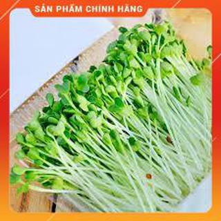 HAT MẦM RAU CẢI NGỌT GÓI 50 GRAM