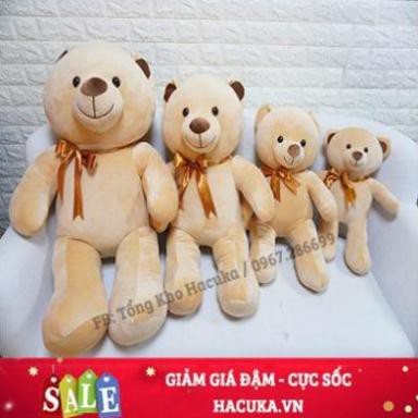 [CAO CẤP] Gấu bông Teddy thú nhồi bông mồm thêu mbthu81