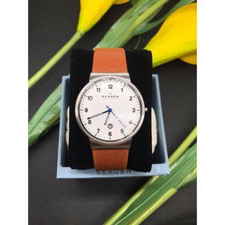 Đồng hồ nam Skagen SKW6082
