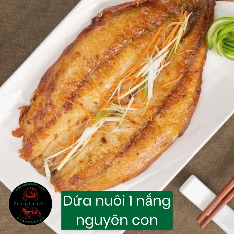 khô cá dứa nuôi 1 nắng nguyên con 700-1kg)