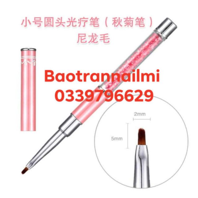 Cọ vẽ hoa cúc có lắp