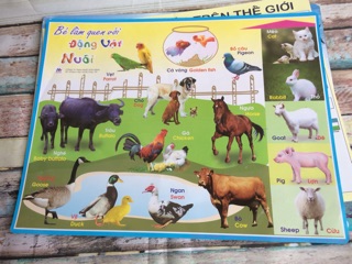 Tranh chủ đề cho bé