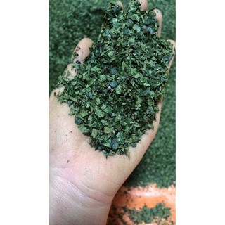 Bột trà xanh nhà làm