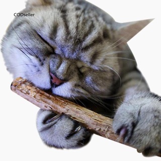 SET 5 QUE GỖ CATNIP BẠC HÀ CHO MÈO