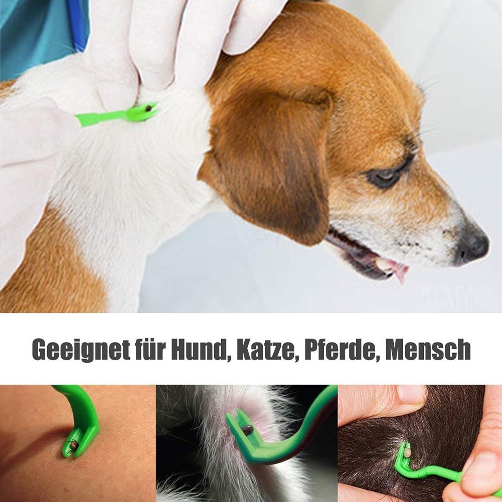 Set 3 Dụng Cụ Bắt Chấy Rận Cho Thú Cưng