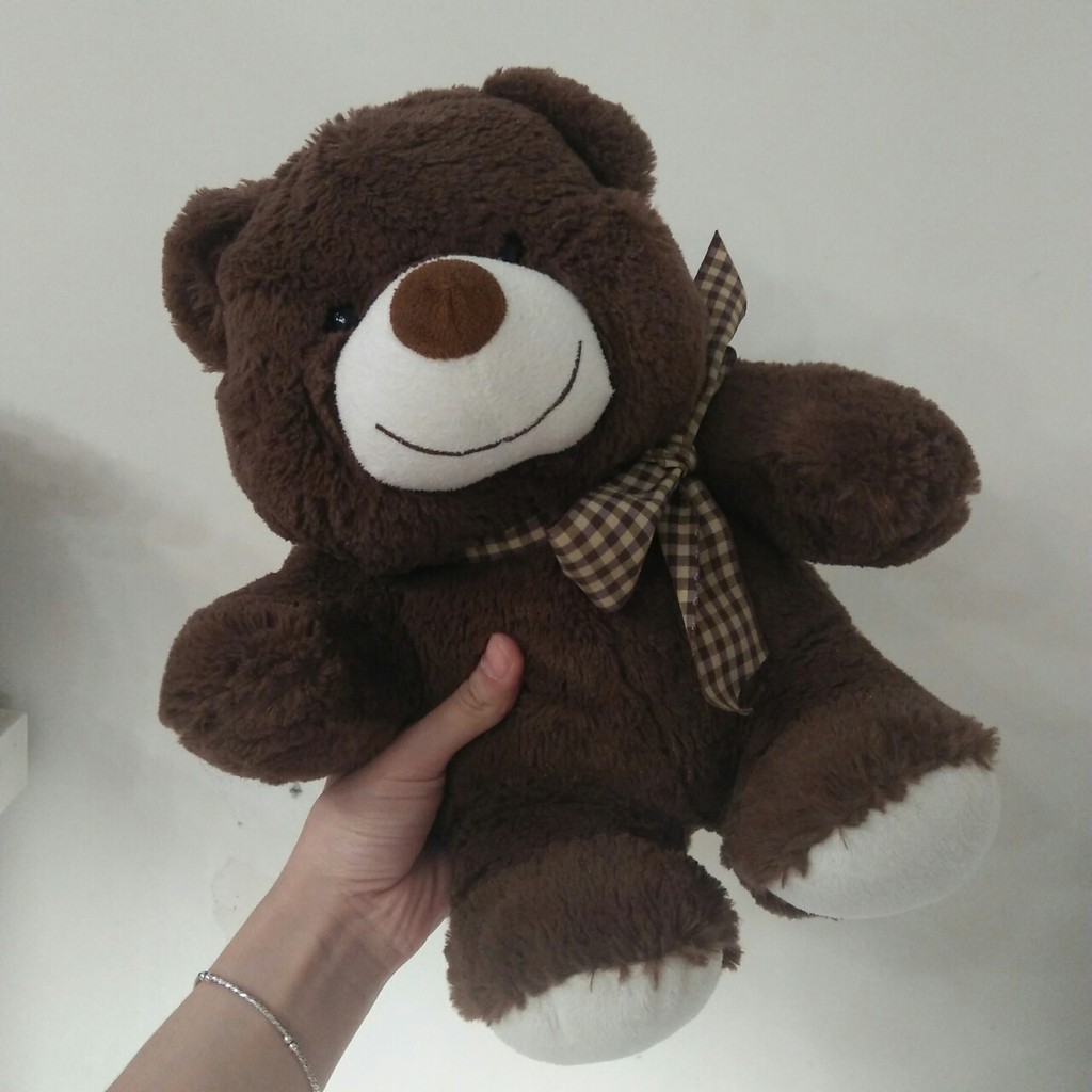 Gấu bông Teddy đồng giá 99k 11 mẫu Teddy kích thước từ 40-60cm NEOCI