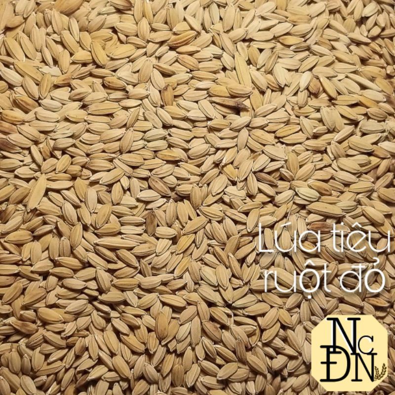 Lúa tiêu ruột đỏ - 1 ký- Ngũ cốc Đặng Nam