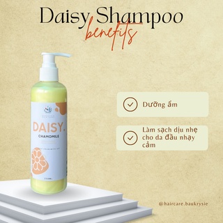 DAISY Chamomile Extract Shampoo - Dầu Gội Chiết Xuất Cúc La Mã ( Handmade )