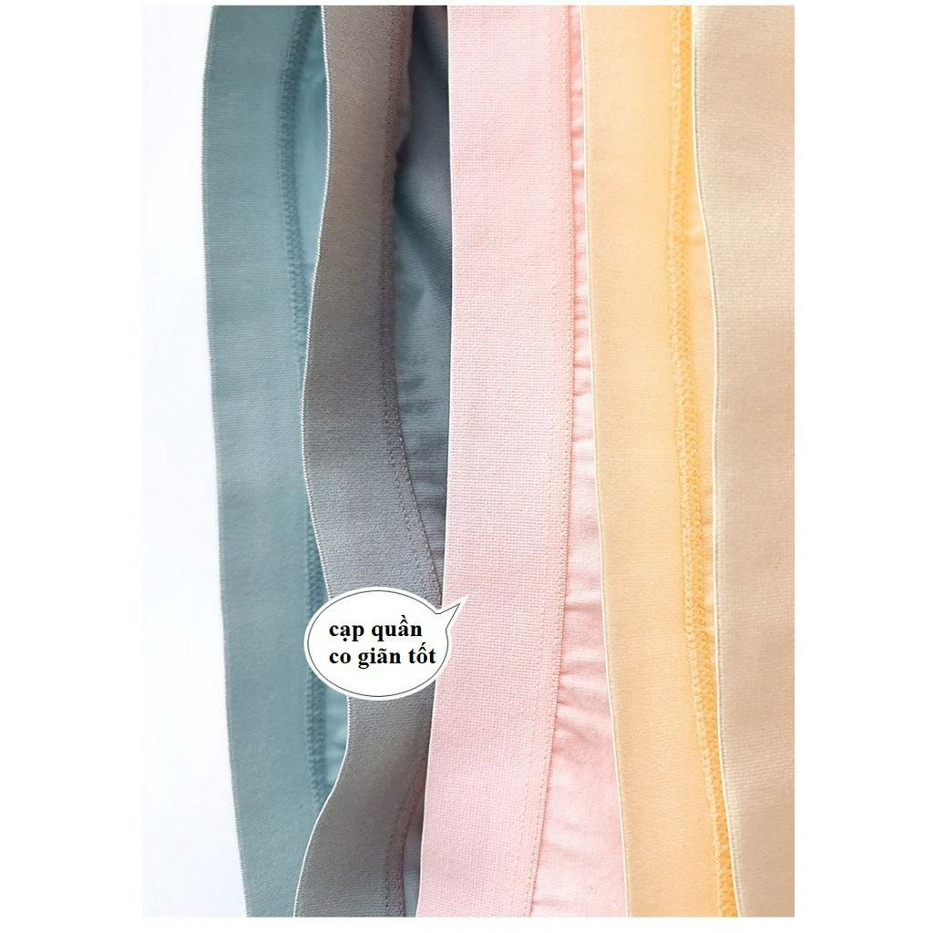 Quần lót nữ cao cấp cotton95 L2-02