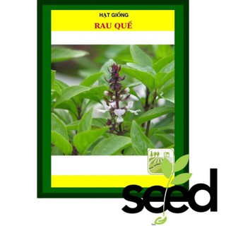 Hạt Giống Rau Quế 10 Gram