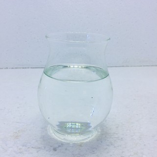 Chậu thủy tinh để bàn mini . chậu bầu mini