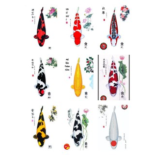 Tranh cá Koi cao cấp