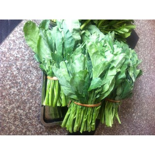 Hạt giống Cải làn -  Rau củ quả trồng tại vườn, sân thượng, nông trang, ban công