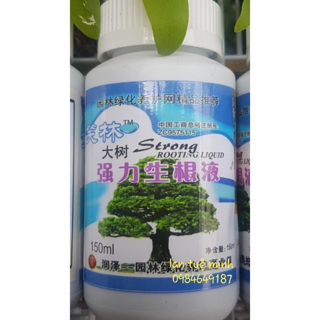 [FREESHIP TỪ 50K] Thuốc kích rễ đài Loan