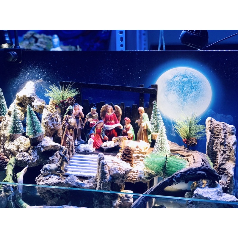 Tranh 3D hồ cá thuỷ sinh, bán cạn - Chủ đề Ánh Trăng