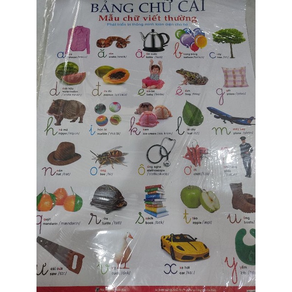 Bảng chữ cái cho bé