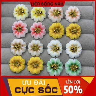 hoa bột nail- hướng dương