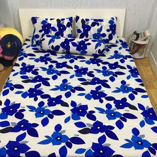 Drap thun Hàn Quốc