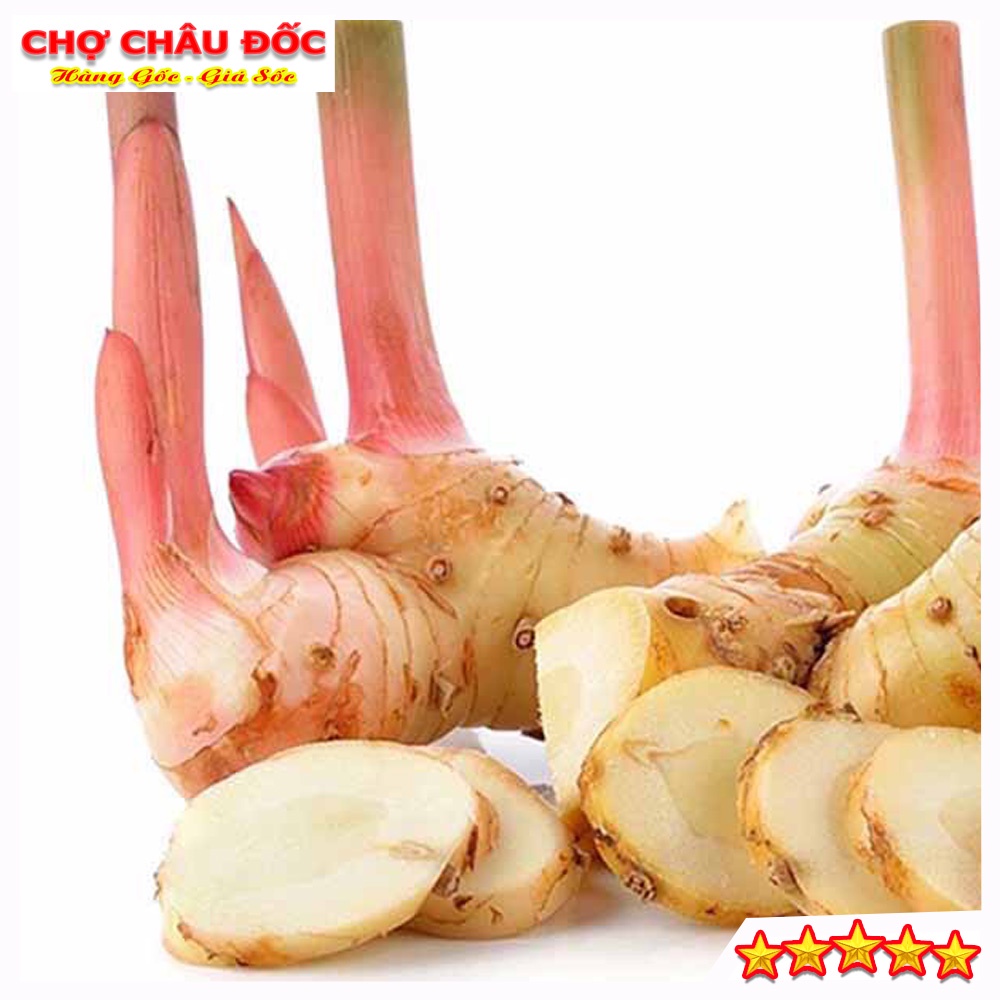 500gr Củ Riềng Tươi Vùng Thất Sơn Dùng Làm Gia Vị Và Dược Liệu