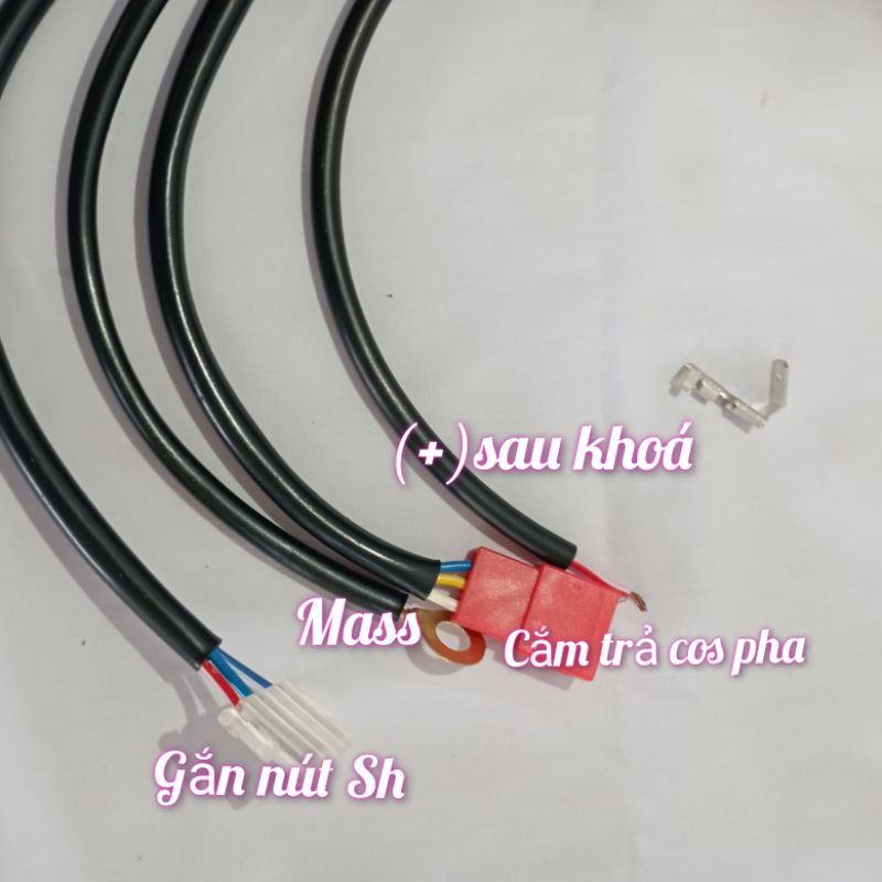 Mạch Auto Passing Sh Bi Cầu Mini 2 Màu, Đèn CX 60,Kenzo x100 ,Tun x4  ..cho xe honda